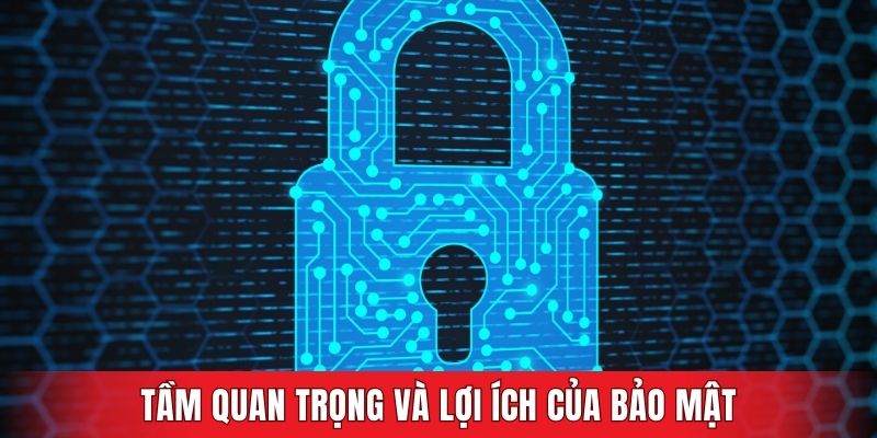 Tầm quan trọng và lợi ích của bảo mật đối với thành viên